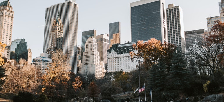 A picture of New York during Autumn.