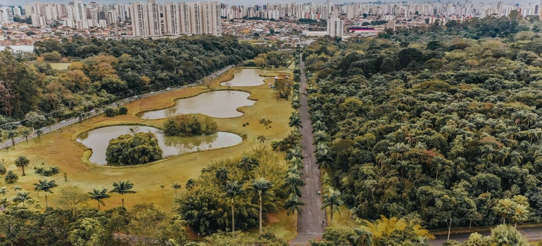 the aerial view of the Central Park