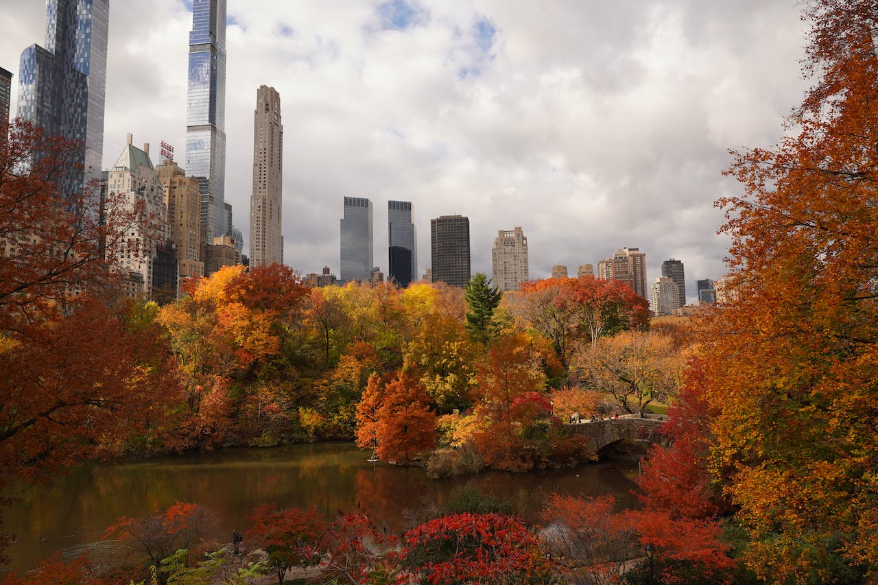 Planning a perfect fall day in New York City